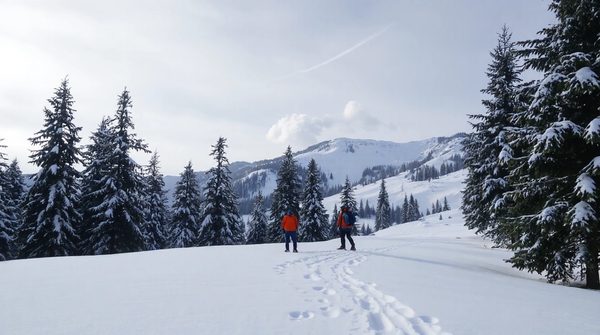 Discover avoriaz's magical winter wonderland through snowshoeing
